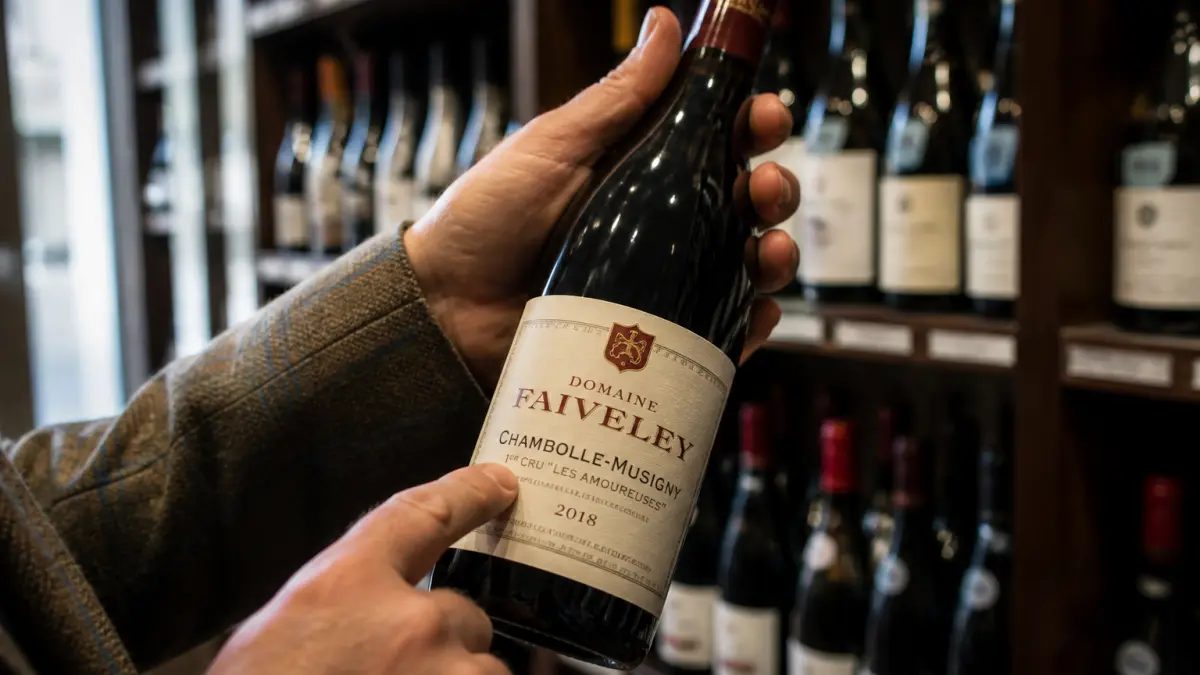 Comment lire une étiquette de vin ? Appellation, domaine, millésime