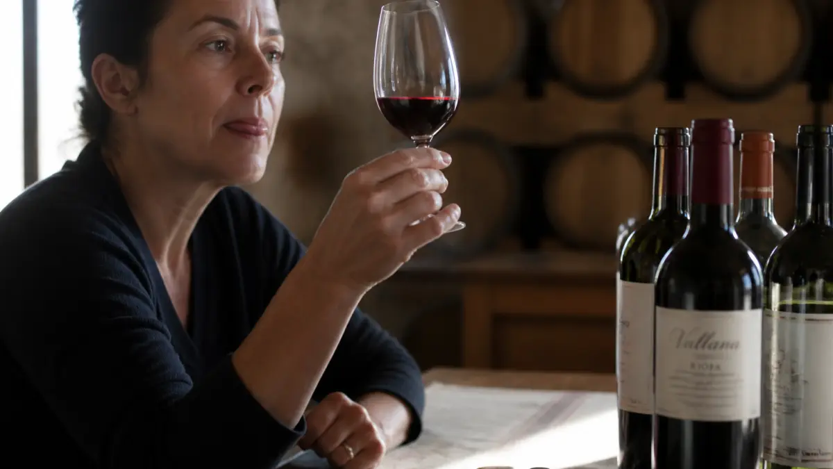 Tanins du vin : à quoi servent-ils et comment les reconnaître ?