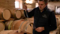 Primeurs de Bordeaux : comprendre le système et ses enjeux